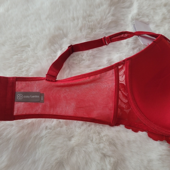 💋DAISY FUENTES BRAND NEW HIGH APEX LACE BRA SIZE 40C - Picture 11 of 11